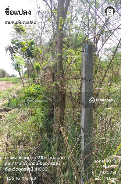 อุดร-หนองบัวลำภู ประมาณ กม.12, Udon Thani, Ni Kom Song Khro, Muang Udon Thani, Udon Thani, , 39,936 sqm, Land For Sale, by Chartchai Kaennarong, 10874906 - DDproperty.com