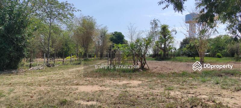 อุดร-หนองบัวลำภู ประมาณ กม.12, Udon Thani, Ni Kom Song Khro, Muang Udon Thani, Udon Thani, , 39,936 sqm, Land For Sale, by Chartchai Kaennarong, 10874906 - DDproperty.com