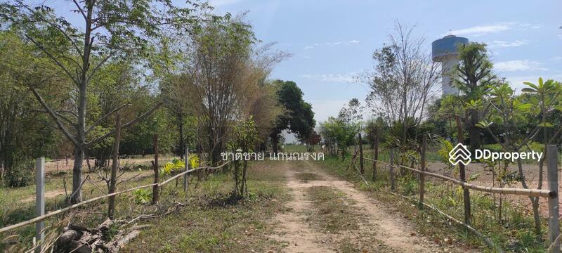 อุดร-หนองบัวลำภู ประมาณ กม.12, อุดรธานี, นิคมสงเคราะห์, เมืองอุดรธานี, อุดรธานี, 39,936 ตร.ม., ที่ดิน ขาย, โดย ชาติชาย แก่นณรงค์, 10874906 - DDproperty.com