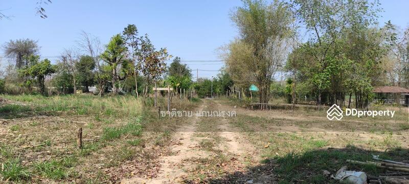 อุดร-หนองบัวลำภู ประมาณ กม.12, Udon Thani, Ni Kom Song Khro, Muang Udon Thani, Udon Thani, , 39,936 sqm, Land For Sale, by Chartchai Kaennarong, 10874906 - DDproperty.com