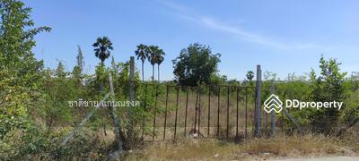 ขาย - ซอยเทศบาล1 ปทุมธานี, ปทุมธานี