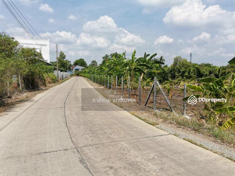 ซอยเทศบาล1 ปทุมธานี, ปทุมธานี, บ้านกลาง, เมืองปทุมธานี, ปทุมธานี, 33,600 ตร.ม., ที่ดิน ขาย, โดย ชาติชาย แก่นณรงค์, 10874984 - DDproperty.com