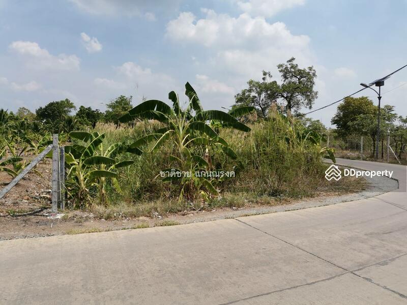 ซอยเทศบาล1 ปทุมธานี, ปทุมธานี, บ้านกลาง, เมืองปทุมธานี, ปทุมธานี, 33,600 ตร.ม., ที่ดิน ขาย, โดย ชาติชาย แก่นณรงค์, 10874984 - DDproperty.com