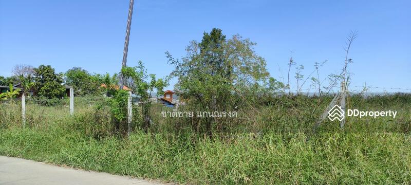 ซอยเทศบาล1 ปทุมธานี, ปทุมธานี, บ้านกลาง, เมืองปทุมธานี, ปทุมธานี, 33,600 ตร.ม., ที่ดิน ขาย, โดย ชาติชาย แก่นณรงค์, 10874984 - DDproperty.com