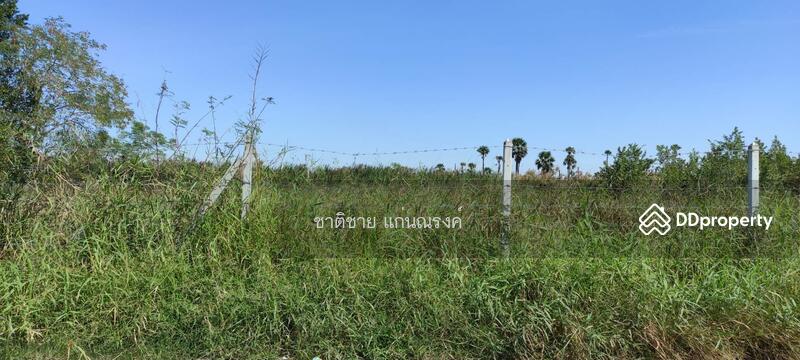ซอยเทศบาล1 ปทุมธานี, ปทุมธานี, บ้านกลาง, เมืองปทุมธานี, ปทุมธานี, 33,600 ตร.ม., ที่ดิน ขาย, โดย ชาติชาย แก่นณรงค์, 10874984 - DDproperty.com