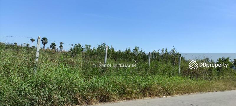 ซอยเทศบาล1 ปทุมธานี, ปทุมธานี, บ้านกลาง, เมืองปทุมธานี, ปทุมธานี, 33,600 ตร.ม., ที่ดิน ขาย, โดย ชาติชาย แก่นณรงค์, 10874984 - DDproperty.com