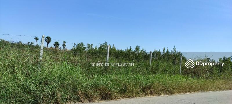 ซอยเทศบาล1 ปทุมธานี, ปทุมธานี, บ้านกลาง, เมืองปทุมธานี, ปทุมธานี, 33,600 ตร.ม., ที่ดิน ขาย, โดย ชาติชาย แก่นณรงค์, 10874984 - DDproperty.com