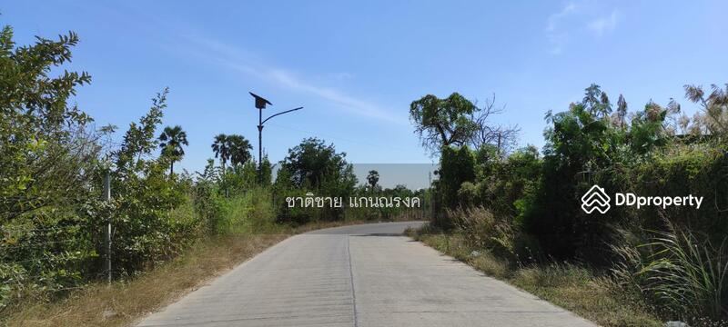 ซอยเทศบาล1 ปทุมธานี, ปทุมธานี, บ้านกลาง, เมืองปทุมธานี, ปทุมธานี, 33,600 ตร.ม., ที่ดิน ขาย, โดย ชาติชาย แก่นณรงค์, 10874984 - DDproperty.com