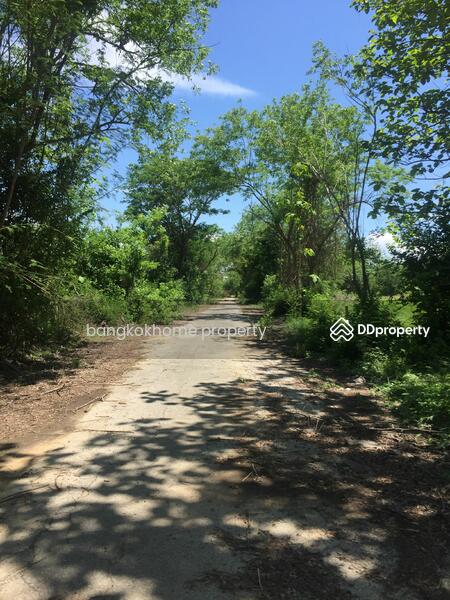 Baan Nai Fan 4, Chiang Mai, 191 Chiang Mai-San Kamphaeng-Onluai Road (New Line), Sae Chang, San Kamphaeng, Chiang Mai, , 289 sqm, Land For Sale, by Thanyadar ., 10875801 - DDproperty.com