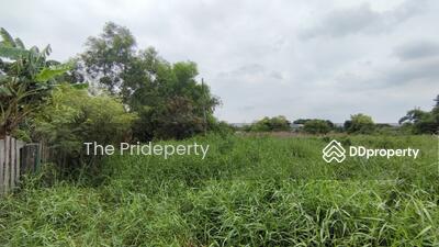 ขาย - ที่ดิน 414 ตร.วา สุวินทวงศ์ 28, กรุงเทพ