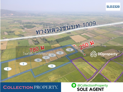 ขาย - ขายที่ดินเพื่อการเกษตรแปลงใหญ่เป็นโฉนด 99 ไร่ ดินสมบูรณ์ปลูกได้ทั้งปี จ.เชียงราย, เชียงราย