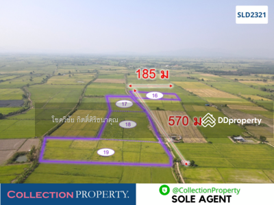 ขาย - ขายที่ดินเพื่อการเกษตรแปลงใหญ่เป็นโฉนด 50 ไร่ ดินสมบูรณ์ปลูกได้ทั้งปี จ.เชียงราย, เชียงราย