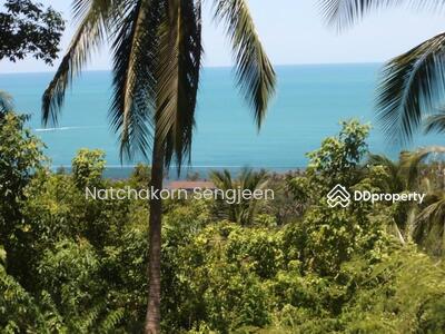 ขาย - ขายที่ดิน 5 ไร่ ถนนทวีราษฎร์ภักดี ต.มะเร็ต อ.เกาะสมุย จ.สุราษฏร์ธานี, สุราษฎร์ธานี