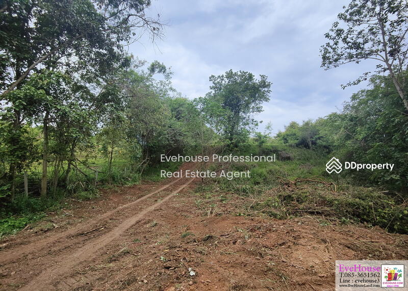For Sale - Khao Yai, Nakhon Ratchasima