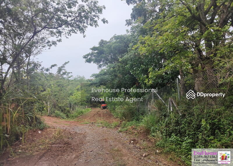 For Sale - Khao Yai, Nakhon Ratchasima