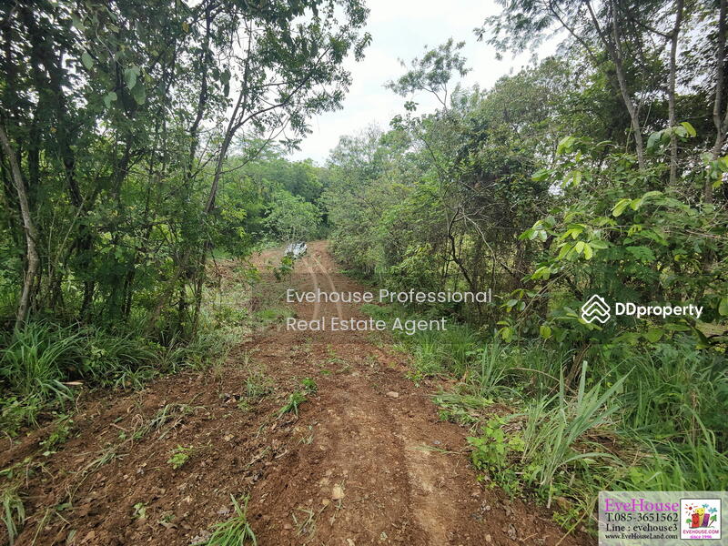 For Sale - Khao Yai, Nakhon Ratchasima