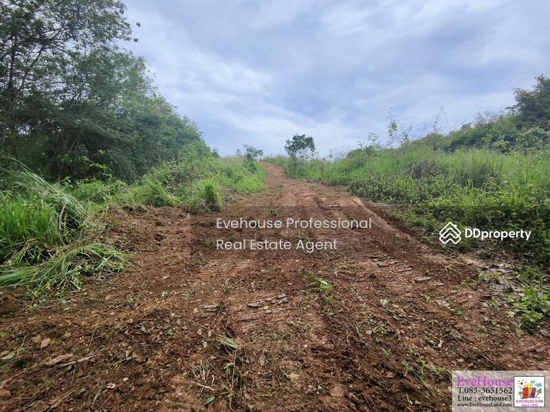 For Sale - Khao Yai, Nakhon Ratchasima