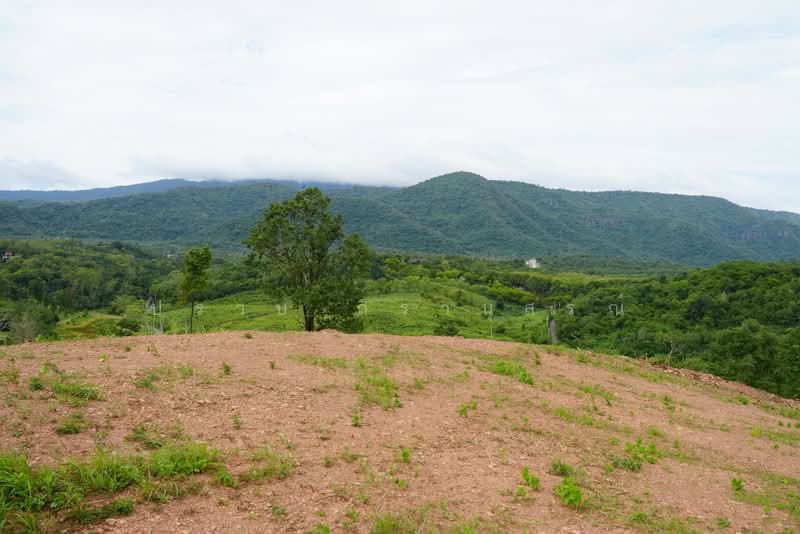 Khao Yai, Nakhon Ratchasima, Pong Ta Long, Pak Chong, Nakhon Ratchasima, , 145,600 sqm, Land For Sale, by Praab Thiranusorn, 10879160 - DDproperty.com