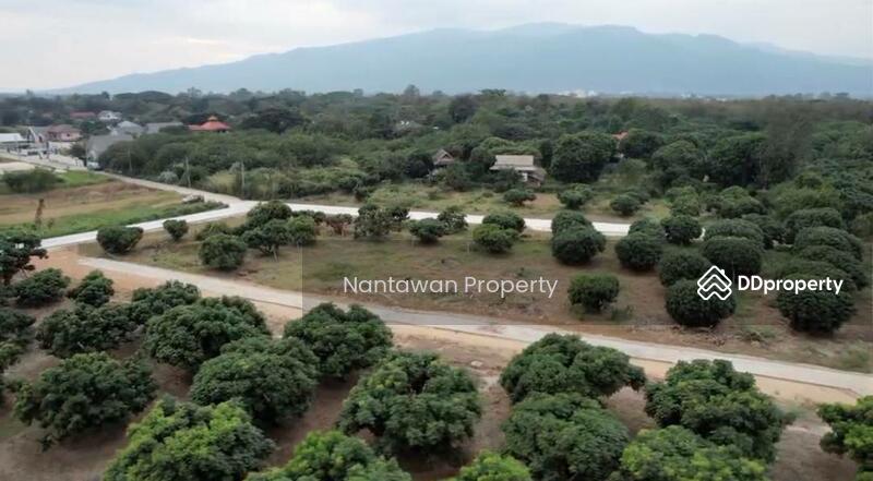 Land for sale just 5 minute from Ruamchok Mall, Chiang Mai, San Phi Sua, Muang Chiang Mai, Chiang Mai, , 400 sqm, Land For Sale, by Nantawan Rattanapong, 10879859 - DDproperty.com