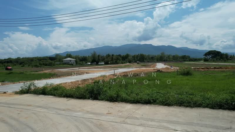ที่ดินเปล่าวิวเขา เริ่มต้น 100 ตร.วา อำเภอเมืองใกล้รวมโชคเพียง 5 นาที, เชียงใหม่, สันผีเสื้อ, เมืองเชียงใหม่, เชียงใหม่, 480 ตร.ม., ที่ดิน ขาย, โดย Nantawan Rattanapong, 10879859 - DDproperty.com