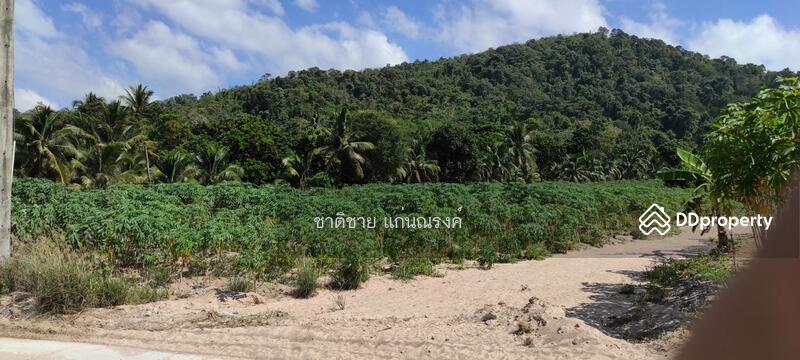 บ้านหุบบอน ต.เขาคันทรง ศรีราชา ชลบุรี, Chon Buri (Pattaya), ซอยชายเขา, Khao Khan Song, Si Racha, Chon Buri (Pattaya), , 29,972 sqm, Land For Sale, by Chartchai Kaennarong, 10880124 - DDproperty.com