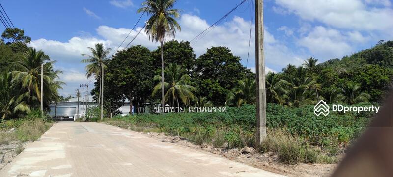 บ้านหุบบอน ต.เขาคันทรง ศรีราชา ชลบุรี, Chon Buri (Pattaya), ซอยชายเขา, Khao Khan Song, Si Racha, Chon Buri (Pattaya), , 29,972 sqm, Land For Sale, by Chartchai Kaennarong, 10880124 - DDproperty.com