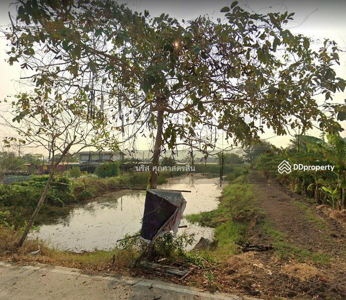 ขาย - ขายด่วนที่ดิน 374 ตร.วา บ้านระกาศ บางบ่อ สมุทรปราการ, สมุทรปราการ