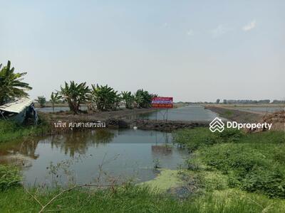 ขาย - ขายที่ดิน 3ไร่-3งาน-79.4ตร.วา บ้านระกาศ บางบ่อ สมุทรปราการ, สมุทรปราการ