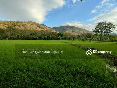 ขาย - ขายที่ดิน 9 ไร่ ติดภูเขาช่องมะเฟือง หนองรี ชลบุรี สวยมาก วิวภูเขา 180 องศา, ชลบุรี