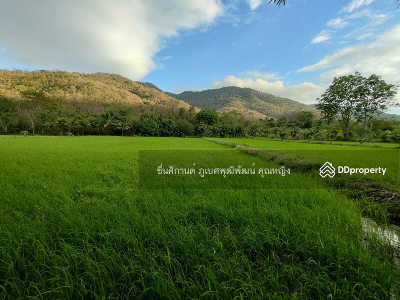 ขายที่ดิน 9 ไร่ ติดภูเขาช่องมะเฟือง หนองรี ชลบุรี สวยมาก วิวภูเขา 180 องศา, ชลบุรี, ประชาร่วมใจ, หนองรี, เมืองชลบุรี, ชลบุรี, 14,400 ตร.ม., ที่ดิน ขาย, โดย ชื่นศิกานต์ ภูเบศพุฒิพัฒน์ คุณหญิง, 10880530 - DDproperty.com