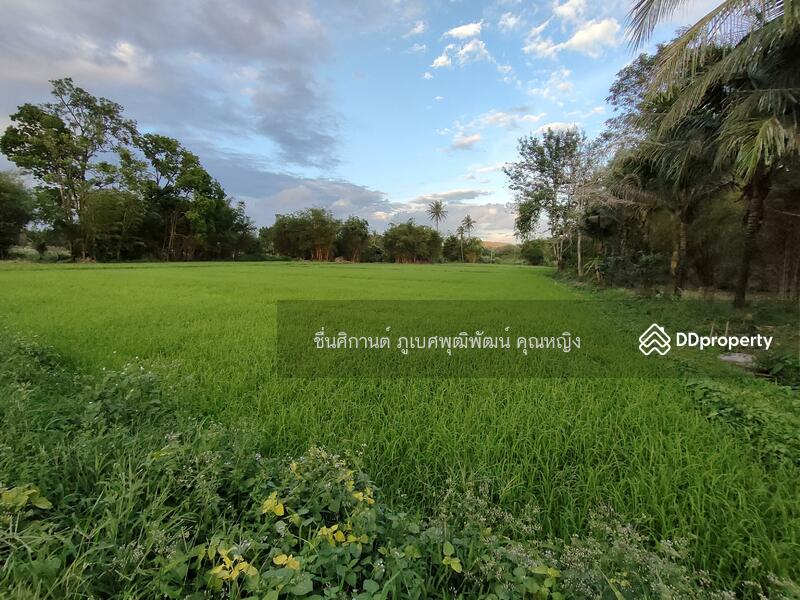 ขายที่ดิน 9 ไร่ ติดภูเขาช่องมะเฟือง หนองรี ชลบุรี สวยมาก วิวภูเขา 180 องศา, ชลบุรี, ประชาร่วมใจ, หนองรี, เมืองชลบุรี, ชลบุรี, 14,400 ตร.ม., ที่ดิน ขาย, โดย ชื่นศิกานต์ ภูเบศพุฒิพัฒน์ คุณหญิง, 10880530 - DDproperty.com