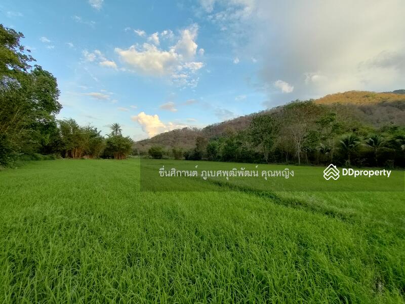 ขายที่ดิน 9 ไร่ ติดภูเขาช่องมะเฟือง หนองรี ชลบุรี สวยมาก วิวภูเขา 180 องศา, ชลบุรี, ประชาร่วมใจ, หนองรี, เมืองชลบุรี, ชลบุรี, 14,400 ตร.ม., ที่ดิน ขาย, โดย ชื่นศิกานต์ ภูเบศพุฒิพัฒน์ คุณหญิง, 10880530 - DDproperty.com