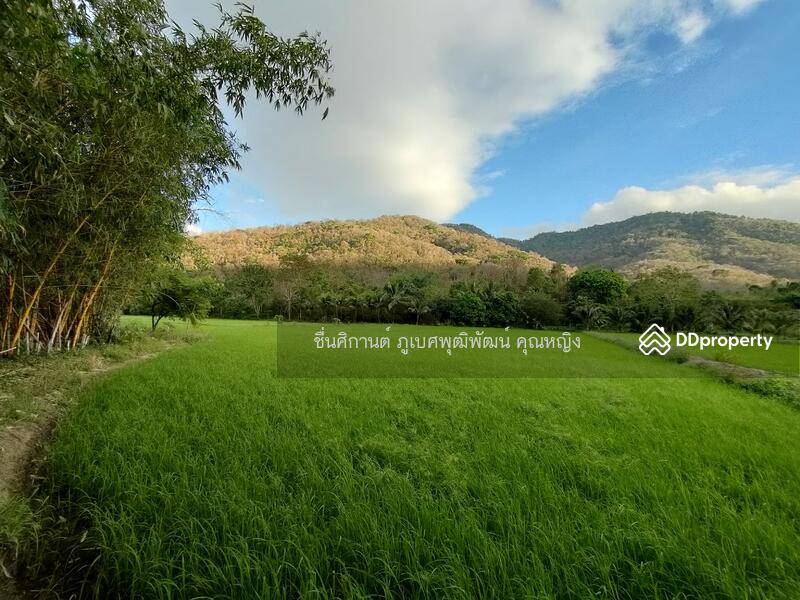 ขายที่ดิน 9 ไร่ ติดภูเขาช่องมะเฟือง หนองรี ชลบุรี สวยมาก วิวภูเขา 180 องศา, ชลบุรี, ประชาร่วมใจ, หนองรี, เมืองชลบุรี, ชลบุรี, 14,400 ตร.ม., ที่ดิน ขาย, โดย ชื่นศิกานต์ ภูเบศพุฒิพัฒน์ คุณหญิง, 10880530 - DDproperty.com