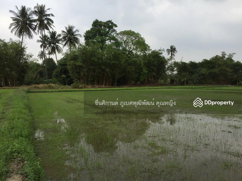 ขายที่ดิน 9 ไร่ ติดภูเขาช่องมะเฟือง หนองรี ชลบุรี สวยมาก วิวภูเขา 180 องศา, ชลบุรี, ประชาร่วมใจ, หนองรี, เมืองชลบุรี, ชลบุรี, 14,400 ตร.ม., ที่ดิน ขาย, โดย ชื่นศิกานต์ ภูเบศพุฒิพัฒน์ คุณหญิง, 10880530 - DDproperty.com