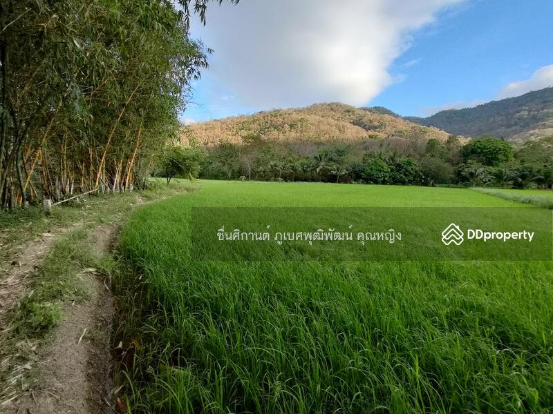 ขายที่ดิน 9 ไร่ ติดภูเขาช่องมะเฟือง หนองรี ชลบุรี สวยมาก วิวภูเขา 180 องศา, ชลบุรี, ประชาร่วมใจ, หนองรี, เมืองชลบุรี, ชลบุรี, 14,400 ตร.ม., ที่ดิน ขาย, โดย ชื่นศิกานต์ ภูเบศพุฒิพัฒน์ คุณหญิง, 10880530 - DDproperty.com