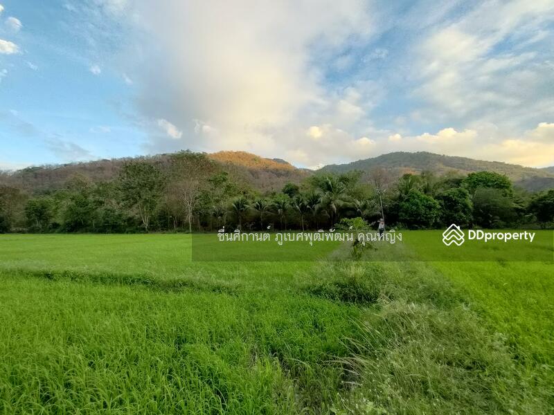 ขายที่ดิน 9 ไร่ ติดภูเขาช่องมะเฟือง หนองรี ชลบุรี สวยมาก วิวภูเขา 180 องศา, ชลบุรี, ประชาร่วมใจ, หนองรี, เมืองชลบุรี, ชลบุรี, 14,400 ตร.ม., ที่ดิน ขาย, โดย ชื่นศิกานต์ ภูเบศพุฒิพัฒน์ คุณหญิง, 10880530 - DDproperty.com