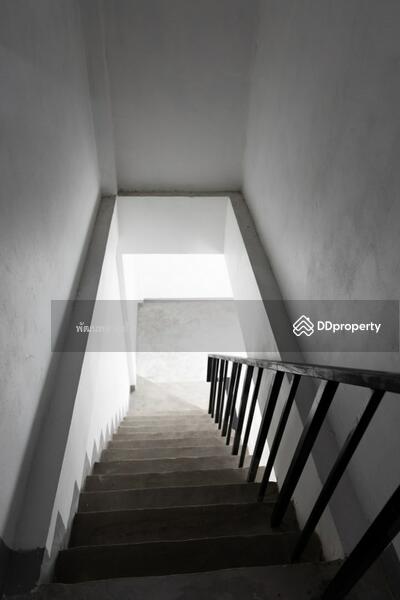 อาคารพาณิชย์ 4 ชั้นครึ่ง ศรีด่าน 9/3_1314/1, Samut Prakan, Samrong Nua, Muang Samut Prakarn, Samut Prakan, , 88 sqm, Shophouse For Rent, by PATTANAPOL SOODTO, 10881623 - DDproperty.com