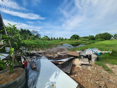 ขาย - ขายที่ดินมีนบุรี เริ่มต้น 25 ตร.วา ติดคลองบึงขวาง ซอยสุวินทวงค์28 แยก26, กรุงเทพ