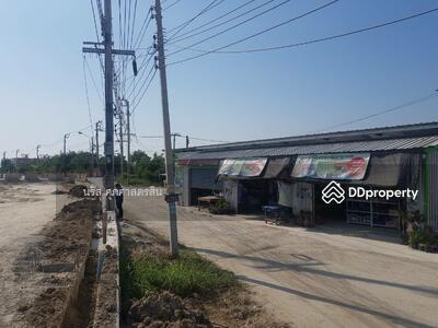 ขาย - ขายที่ดิน 2 ไร่ครึ่ง ใกล้โรงพยาบาลรามาธิปดี บางพลี, สมุทรปราการ