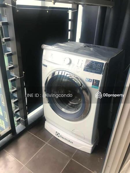 The Base Sukhumvit 77, Bangkok, 289 Sukhumvit 77 Road, Phra Kanong Nua, Watthana, Bangkok, 1 Bedroom, 36 sqm, Condo For Rent, by LINE ID : @livingcondo, 10884481 - DDproperty.com