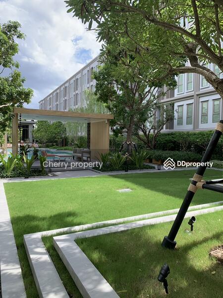 Aspire Pinklao-Arun Ammarin, Bangkok, Arun Amarin Road, Arun Amarin, Bangkok Noi, Bangkok, 1 Bedroom, 33 sqm, Condo For Rent, by Tamita Kongsoithong, 10886890 - DDproperty.com