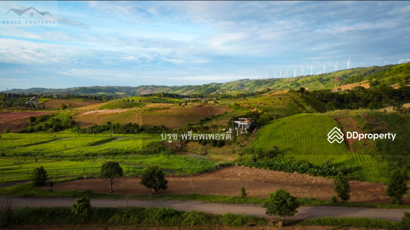 ขาย - บ้านเดี่ยว, เพชรบูรณ์