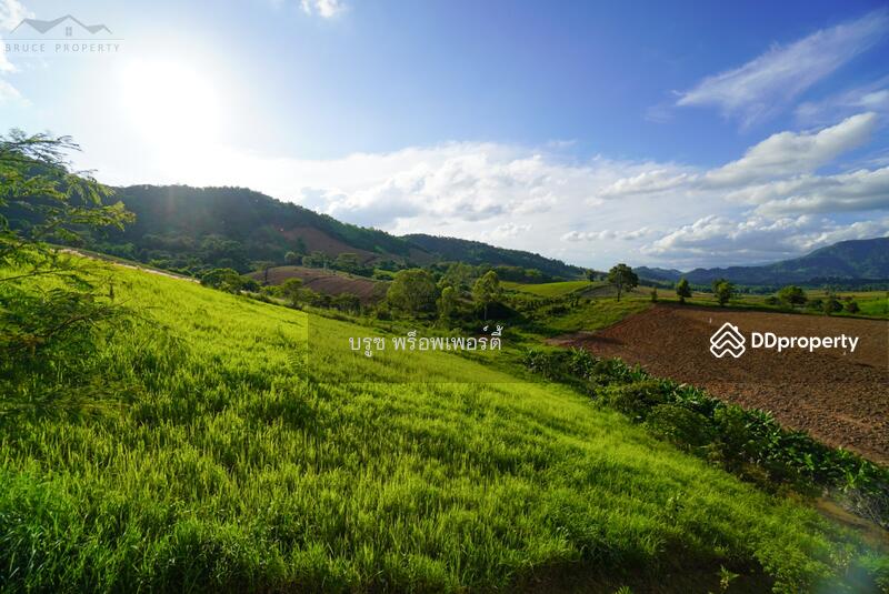 ขาย - บ้านเดี่ยว, เพชรบูรณ์