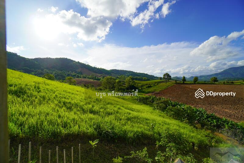 ขาย - บ้านเดี่ยว, เพชรบูรณ์