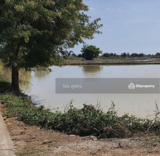 For Sale - In the fields beside the cement road. There are gravel roads in every field., Nakhon Sawan