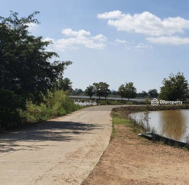 For Sale - In the fields beside the cement road. There are gravel roads in every field., Nakhon Sawan