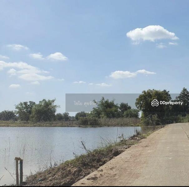 For Sale - In the fields beside the cement road. There are gravel roads in every field., Nakhon Sawan
