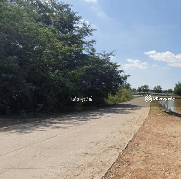 For Sale - In the fields beside the cement road. There are gravel roads in every field., Nakhon Sawan