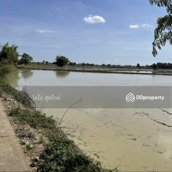 For Sale - In the fields beside the cement road. There are gravel roads in every field., Nakhon Sawan