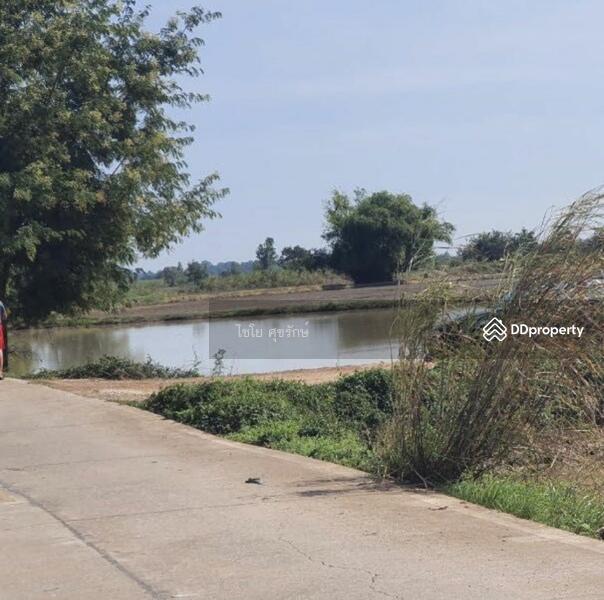 For Sale - In the fields beside the cement road. There are gravel roads in every field., Nakhon Sawan